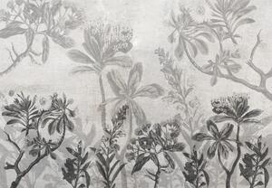 Fototapeta - Rastliny v betóne (147x102 cm)