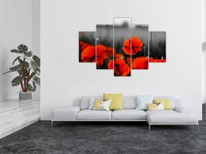 Vlčie maky - moderné obrazy (Obraz 150x105cm)