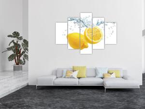 Citron- Obraz (Obraz 150x105cm)