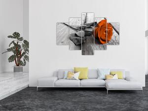 Ruže oranžová - obraz (Obraz 150x105cm)