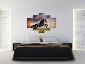 Kôň - obraz (Obraz 150x105cm)