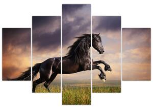 Kôň - obraz (Obraz 150x105cm)