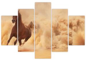 Cválajúci kôň - obraz (Obraz 150x105cm)