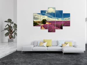 Levanduľové polia - obraz (Obraz 150x105cm)