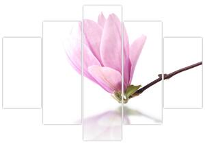 Kvet - obraz (Obraz 150x105cm)