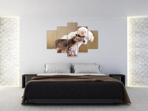 Mačiatko a šteňa - obraz (Obraz 150x105cm)