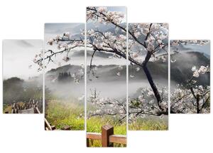 Sakura - obraz (Obraz 150x105cm)