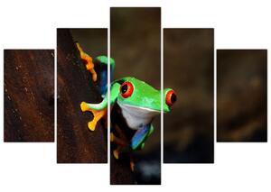 Žaba - obraz (Obraz 150x105cm)