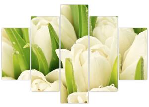 Detail tulipánov - obraz (Obraz 150x105cm)