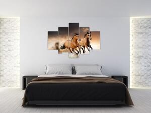 Kone - obraz (Obraz 150x105cm)