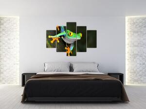 Žaba - obraz (Obraz 150x105cm)