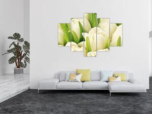 Detail tulipánov - obraz (Obraz 150x105cm)