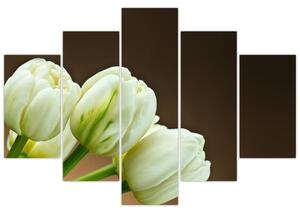 Tulipány - obraz (Obraz 150x105cm)