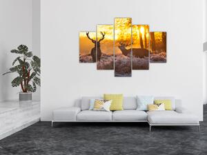 Jelene - obraz (Obraz 150x105cm)