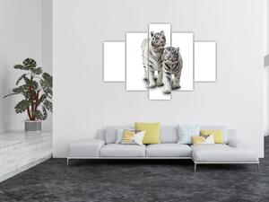 Tiger biely - obraz (Obraz 150x105cm)