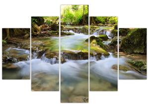 Rieka v lese - obraz (Obraz 150x105cm)