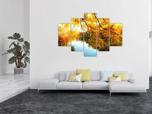 Jesenná krajina - obraz (Obraz 150x105cm)
