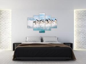 Tučniaci - obraz (Obraz 150x105cm)