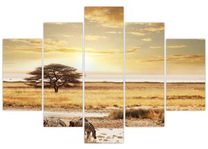 Letná krajina - obraz (Obraz 150x105cm)