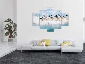 Tučniaci - obraz (Obraz 150x105cm)