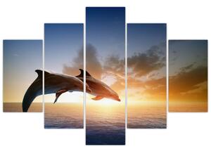 Delfíny - obraz (Obraz 150x105cm)