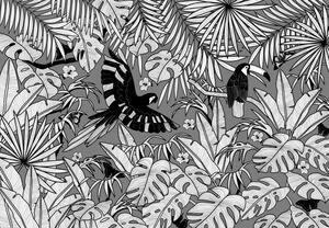 Fototapeta - Čiernobiela jungle (147x102 cm)