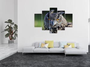 Sova - obraz (Obraz 150x105cm)