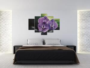 Obraz kvetov orchidey (Obraz 150x105cm)