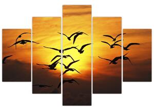 Obraz letiacich vtákov (Obraz 150x105cm)