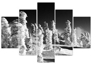 Obraz - zimné hory (Obraz 150x105cm)