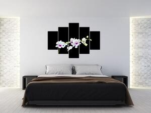 Kvetina - obraz (Obraz 150x105cm)