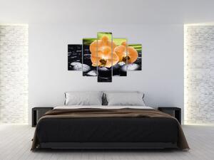 Kvet orchidey - moderný obraz (Obraz 150x105cm)
