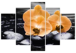 Kvet orchidey - obraz na stenu (Obraz 150x105cm)