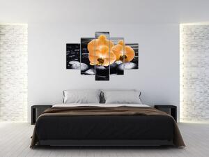 Kvet orchidey - obraz na stenu (Obraz 150x105cm)