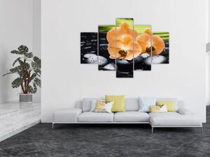 Kvet orchidey - moderný obraz (Obraz 150x105cm)