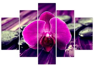 Obraz orchidey (Obraz 150x105cm)