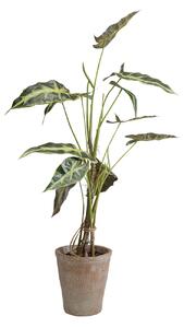 Alocasia umelá rastlina zelená 80 cm
