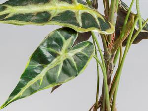 Alocasia umelá rastlina zelená 80 cm