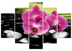 Fotka orchidey (Obraz 150x105cm)
