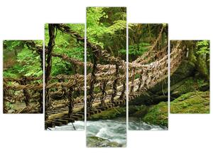 Obraz - most v prírode (Obraz 150x105cm)