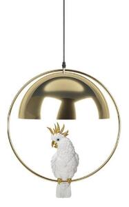 Animal Cockatoo visiaca lampa