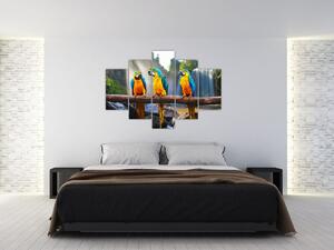 Obraz - papagáje (Obraz 150x105cm)