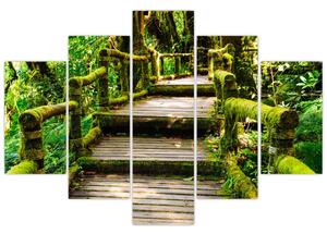 Schody v záhrade - obraz (Obraz 150x105cm)