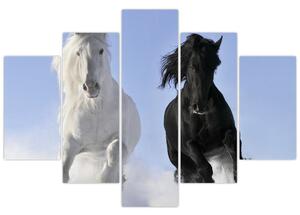 Kone, obraz (Obraz 150x105cm)