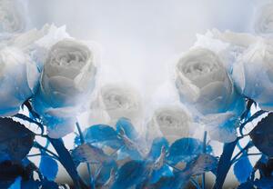 Fototapeta - Biele ruže (147x102 cm)