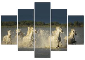 Cválajúca kone, obraz (Obraz 150x105cm)