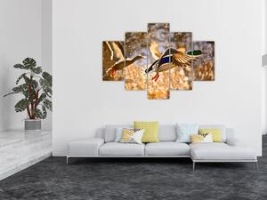 Letiaci kačice - obraz (Obraz 150x105cm)