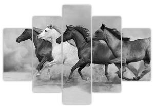 Obraz cválajúci koňov (Obraz 150x105cm)