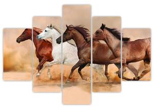 Obraz kôň (Obraz 150x105cm)
