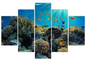 Obraz podmorského sveta (Obraz 150x105cm)